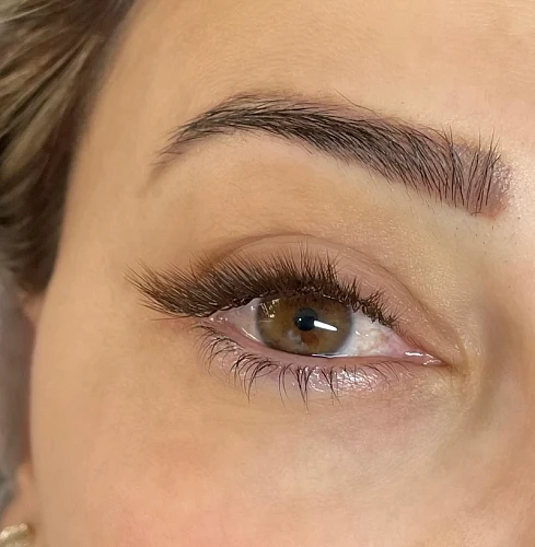 Manan Ghazaryan, Lashes Extension - Brow Artist