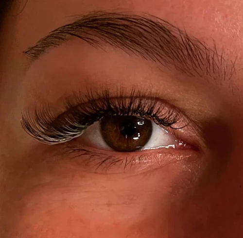 Anna Oliveri Lash