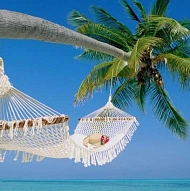 Northwestern Travel