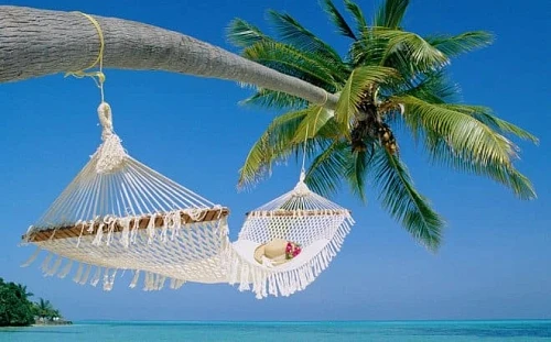 Northwestern Travel
