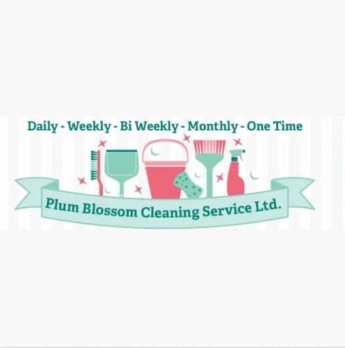 Cleaning | Chicago, IL