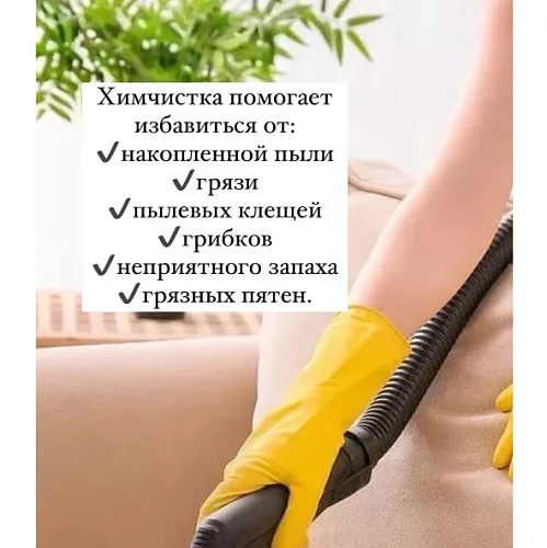 Борис, Клининг