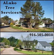 Aluko Tree Services