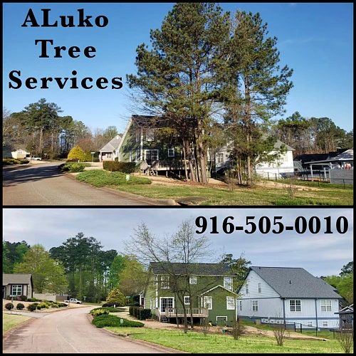 Aluko Tree Services