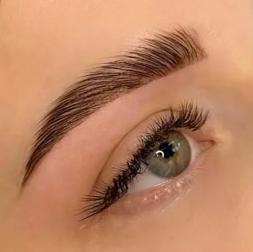 brows.miami_