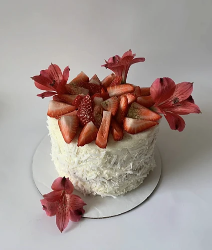 Delicious Cakes