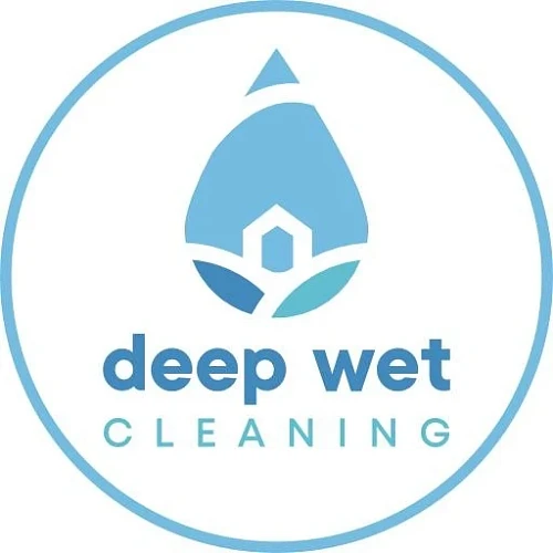 Deep Wet Cleaning & Disinfection of Sofa, Mattress, Etc.