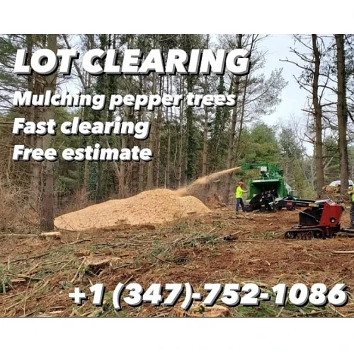 Lot Clearing