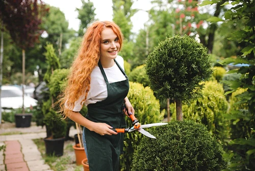 Modern Box |  Landscaping Work