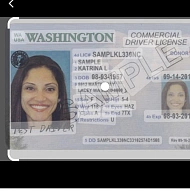 Driver License