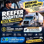 Водитель, можно новичкам!
