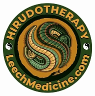Leech Medicine - Гирудотерапия | Лечение медицинскими пиявками