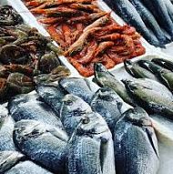 Katerina's Fish Market
