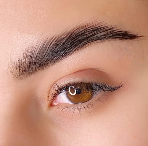 Tanya, Eyebrows
