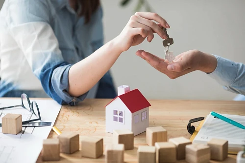 Victoria Nemchinova, Real Estate