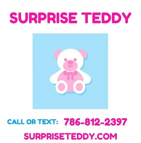 Surprise TEDDY