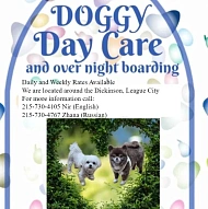 Doggy Day Care