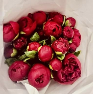 FLOWERSEE