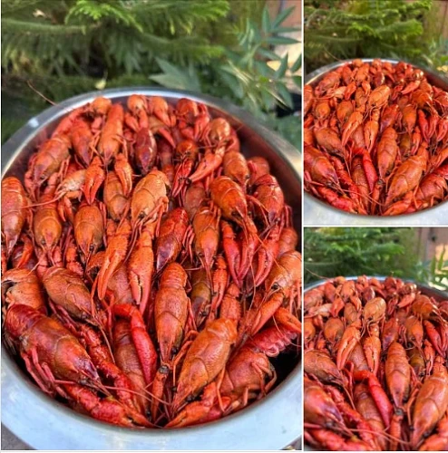 Самые Свежие Вареные Раки