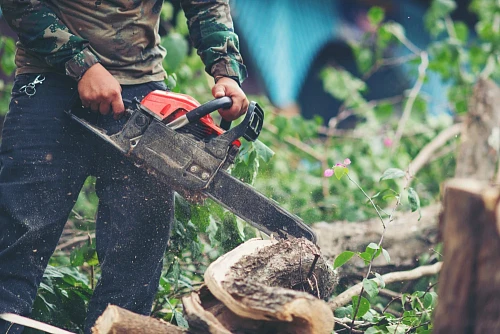 Tree Warrior LLC.