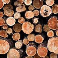 Timber companies