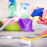 Albina Levicheva, Cleaning Services