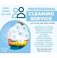 Professional Cleaning Service