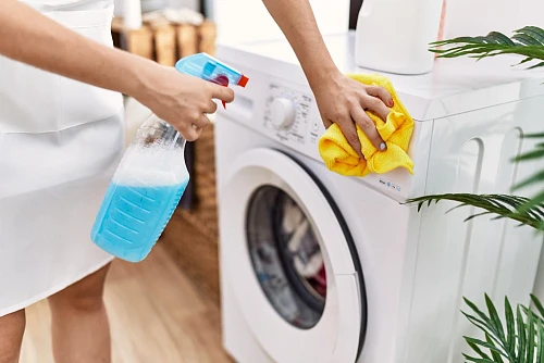 Oksana, Cleaning Service