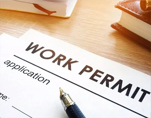 Савелий, Помощь в Заполнении Форм на Политику - SSN - Work Permit