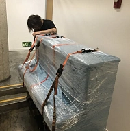 SQ Moving Company