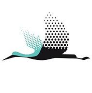 AIST Safety Consulting