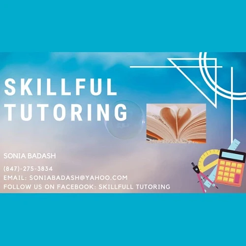 Skillful Tutoring