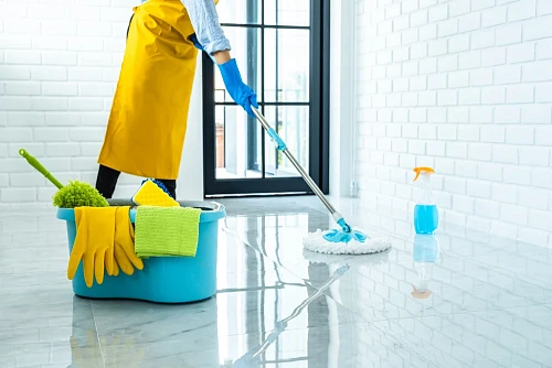 Vladimir, Cleaning Service