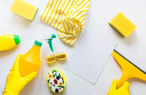 Tanushka Shved | Cleaning