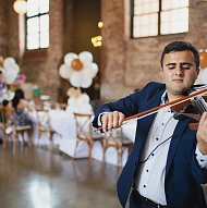 Professional Violinist