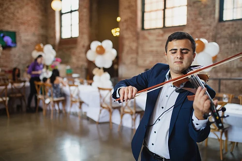 Professional Violinist