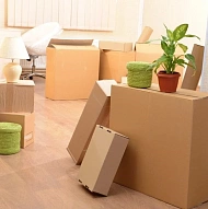 Demolition, Junk removal, Moving