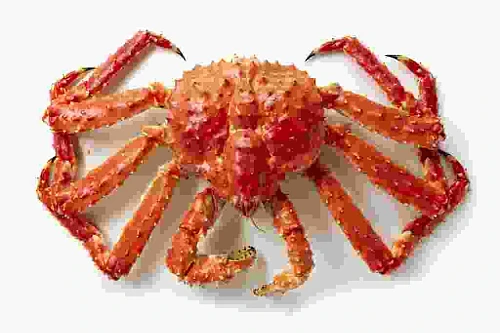 Ресторан Shaking Crab