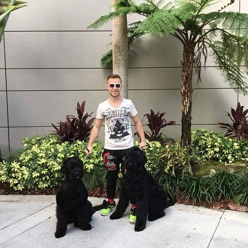 Lone Star Dog Training and Care