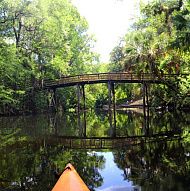Hillsborough River State Park