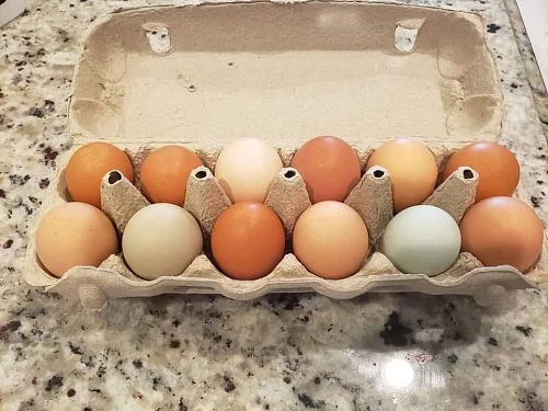 Домашняя Продукция
