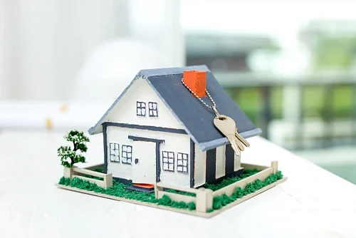 Alexandra Chernukha, Real Estate