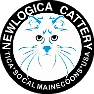 SoCal Maine Coon NewLogica Cattery