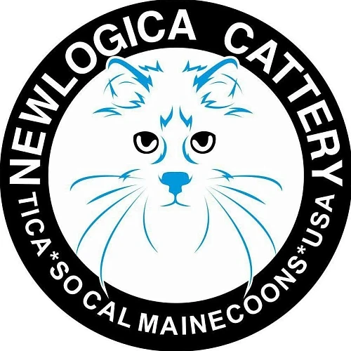 SoCal Maine Coon NewLogica Cattery