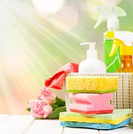 Professional Cleaning Service
