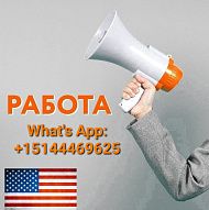 Работа! Требуются сотрудники!