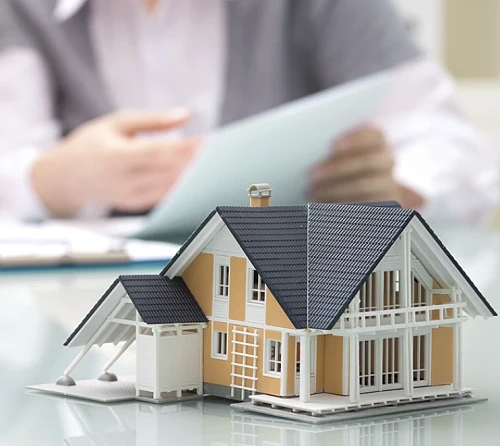 Diana Jasin Real Estate