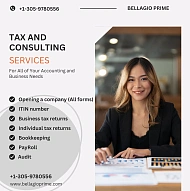 Tax Consulting | Accounting | Taxes