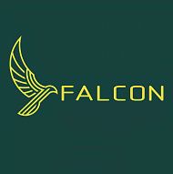 Falcon Outsourcing Service