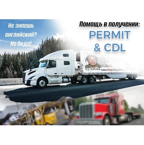 Помощь в получении PERMITT & CDL